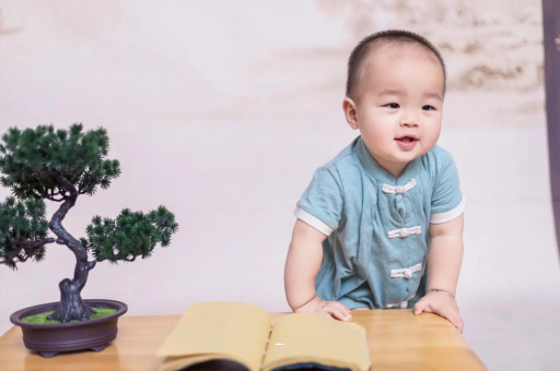 代怀选性别包生男孩可爱的企鹅宝宝